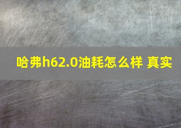 哈弗h62.0油耗怎么样 真实